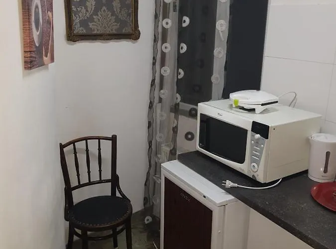 Studio Calea Victoriei Apartman *